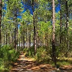 Camping Natuara - L'ecrin Du Ferret *
