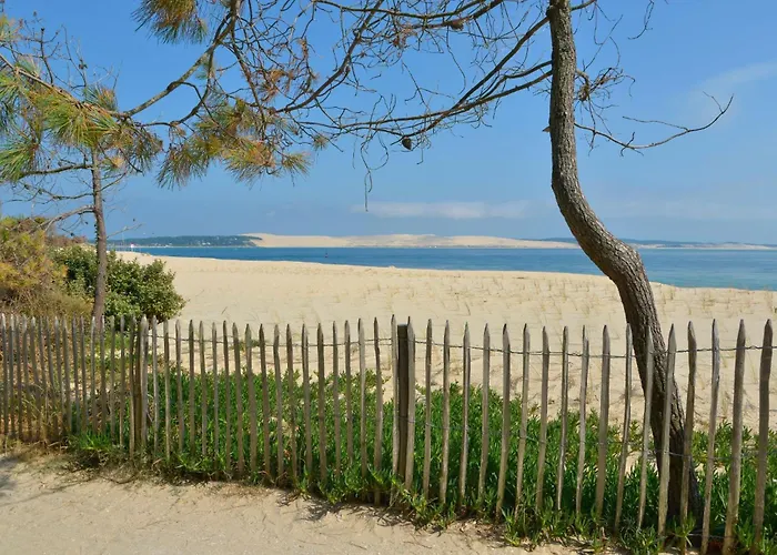 Natuara - L'ecrin Du Ferret * Lège-Cap-Ferret