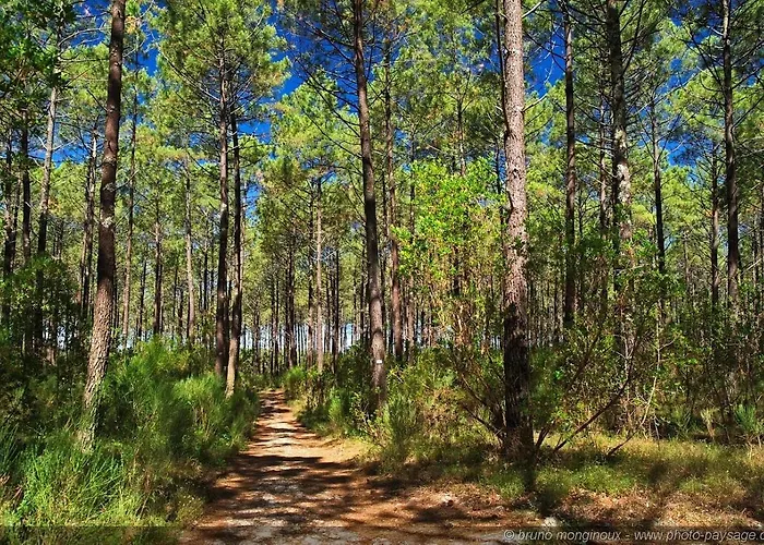 Kamp alanı Natuara - L'ecrin Du Ferret *